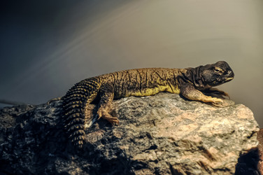 Similar image 20990083