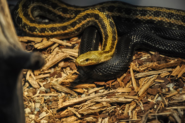 Similar image 20990084