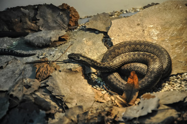 Similar image 20990085