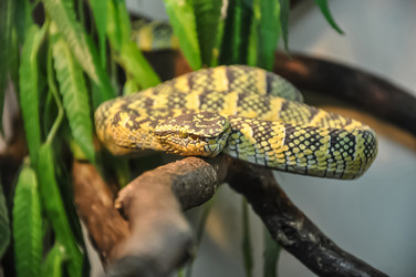 Similar image 20990086