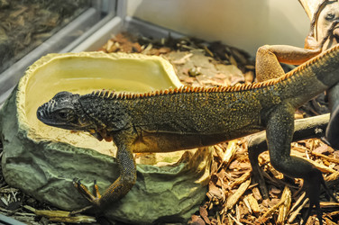 Similar image 20990087