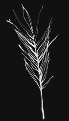 Similar image 20990154