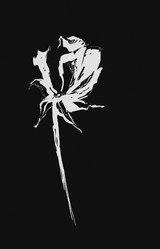 Similar image 20990156