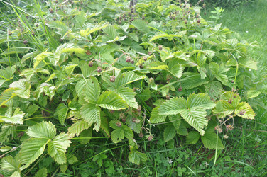 Similar image 20990158