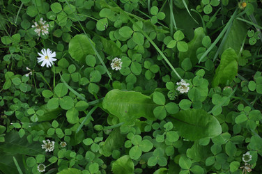 Similar image 20990159