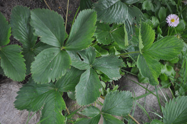 Similar image 20990160