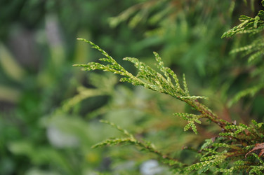 Similar image 20990161