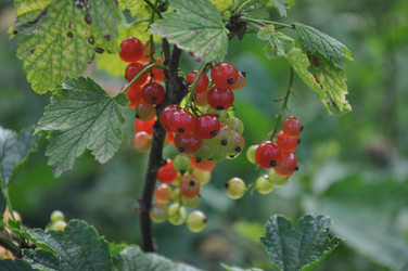 Similar image 20990162