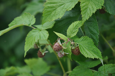 Similar image 20990163