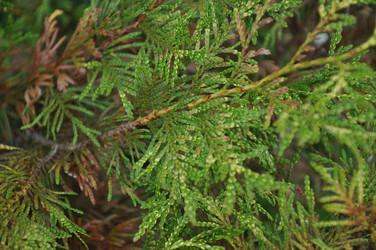 Similar image 20990164