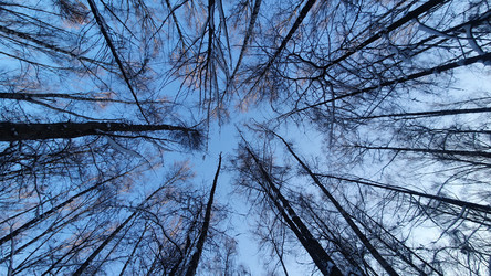 Similar image 20990165