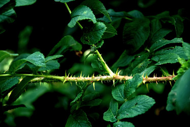 Similar image 20990167