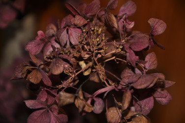 Similar image 20990169