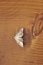 Similar image 20990170