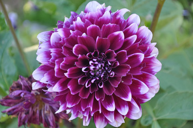 Similar image 20990172