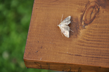 Similar image 20990173