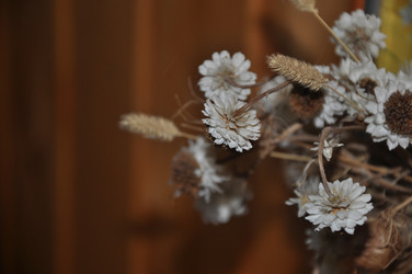 Similar image 20990174