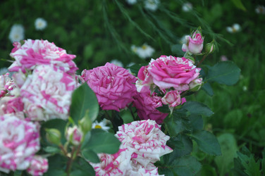 Similar image 20990182