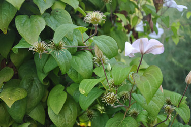 Similar image 20990183