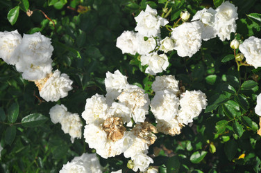 Similar image 20990184