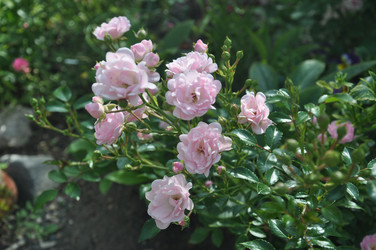 Similar image 20990185