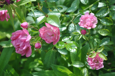 Similar image 20990186