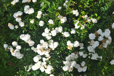 Similar image 20990187