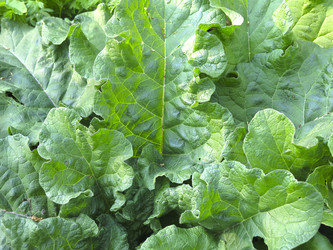 Similar image 20981444