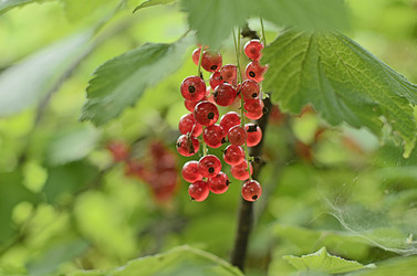 Similar image 20981068