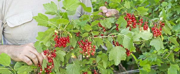 Similar image 20981070