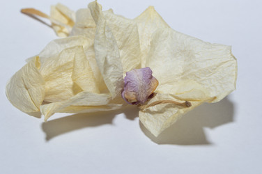 Similar image 20992640