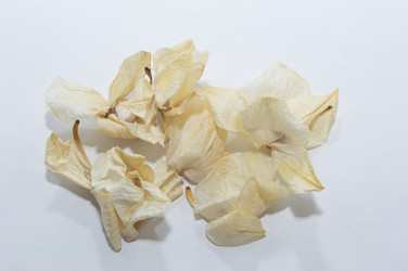 Similar image 20992641