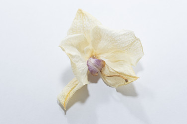 Similar image 20995152