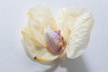 Similar image 20992642