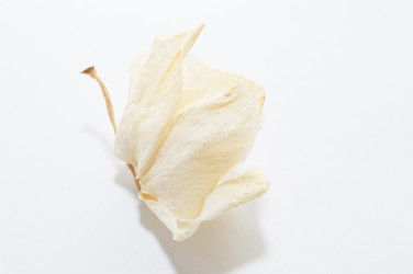 Similar image 20992643