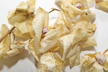 Similar image 20991734