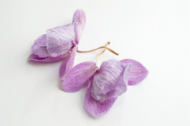 Similar image 20987059