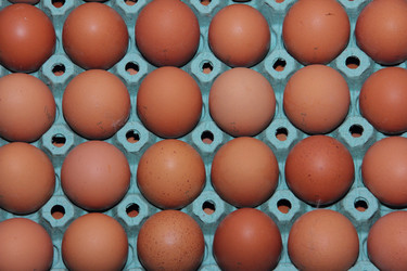 Similar image 20991738