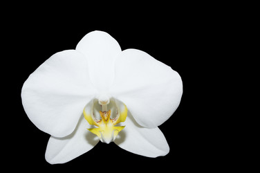 Similar image 20989176