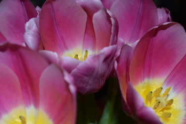 Similar image 20989177