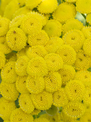 Similar image 20989178