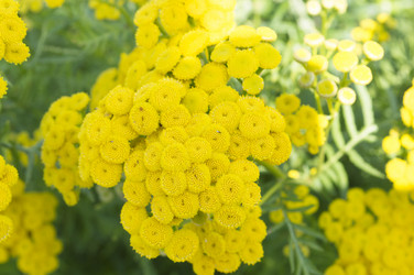 Similar image 20989179