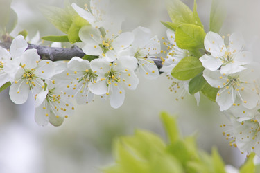 Similar image 20994835