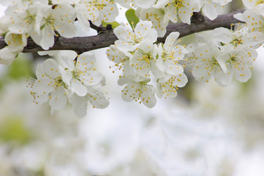 Similar image 20994836