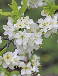 Similar image 20994837