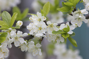 Similar image 20994838