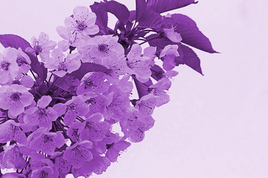 Similar image 20994839