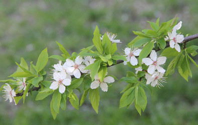 Similar image 20994889