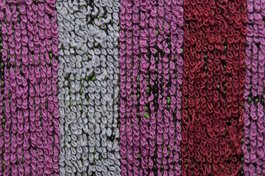 Similar image 20987063