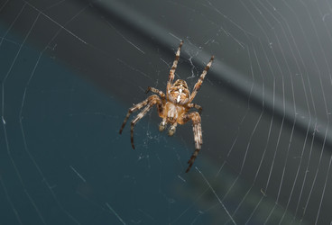 Similar image 20983166